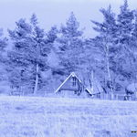 DSCN9408