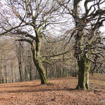 DSCN9550
