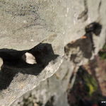 DSCN9562