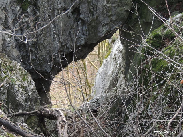 DSCN9645