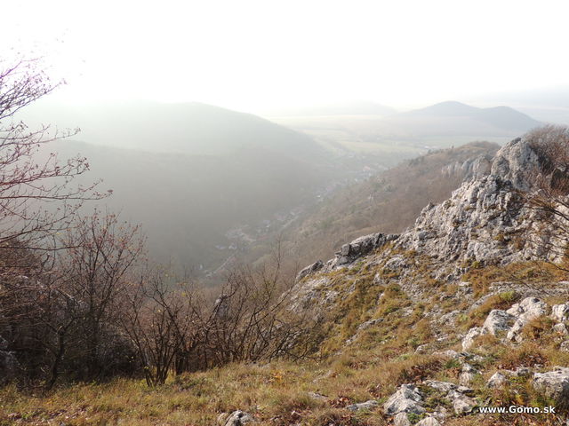 DSCN9650