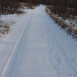 DSCN9850