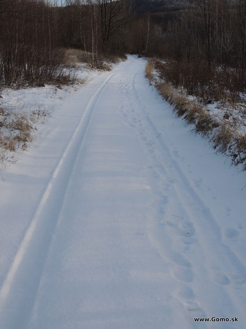 DSCN9850