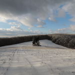DSCN9912