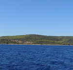 DSCN6644