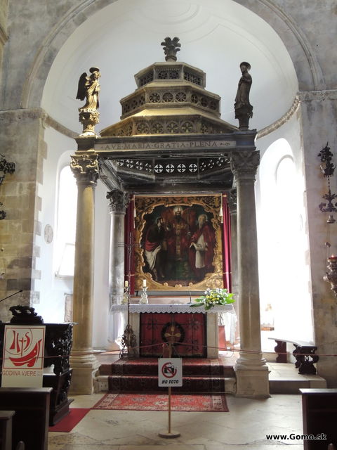 DSCN6768