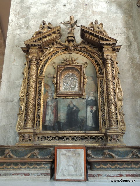 DSCN6769