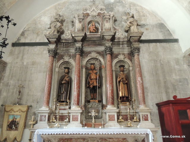 DSCN6770