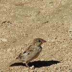 DSCN6956