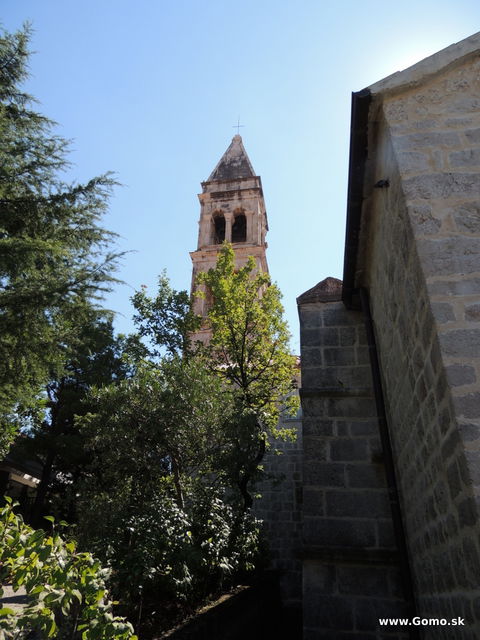 DSCN6957