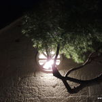 DSCN7088