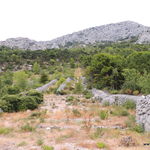 DSCN7134