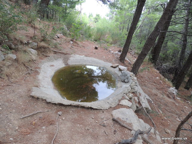 DSCN7141