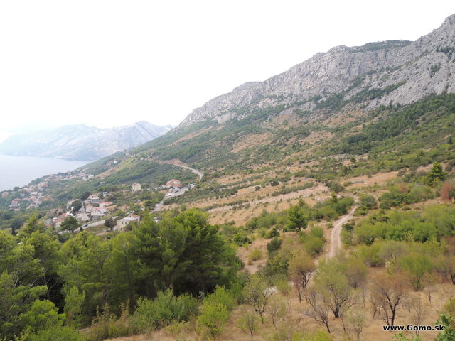 DSCN7259