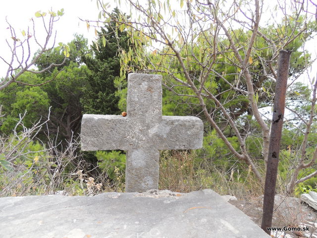 DSCN7260