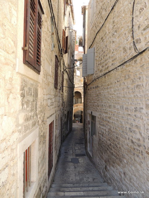 DSCN7721