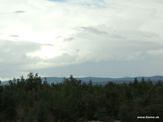 DSCN7831