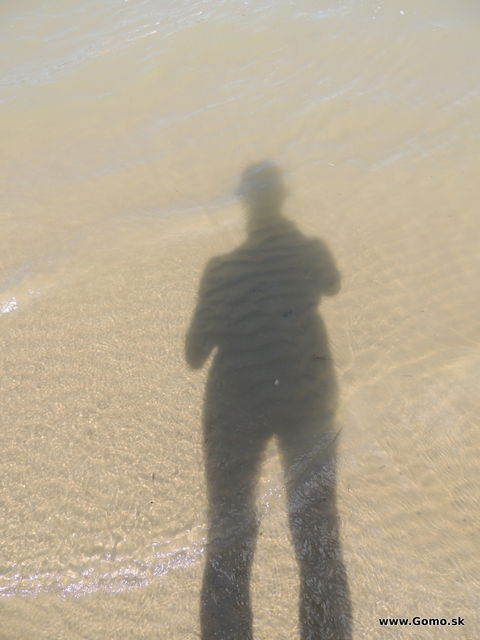 DSCN5638