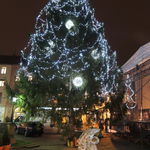 DSCN0148