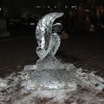 DSCN0149
