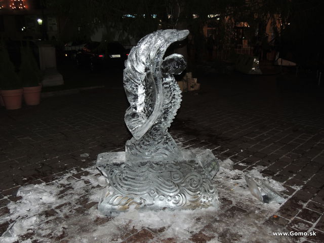 DSCN0149