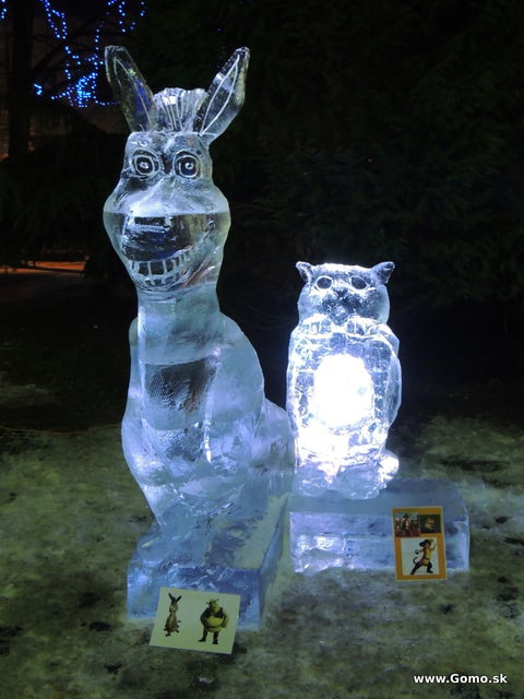 DSCN0158