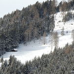 DSCN1255