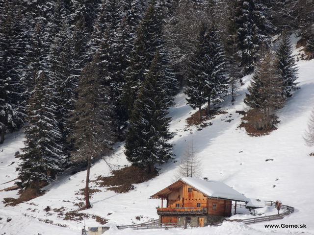 DSCN1256