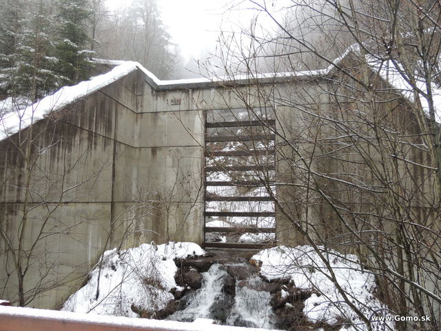 DSCN1424