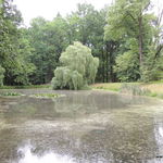 DSCN3780