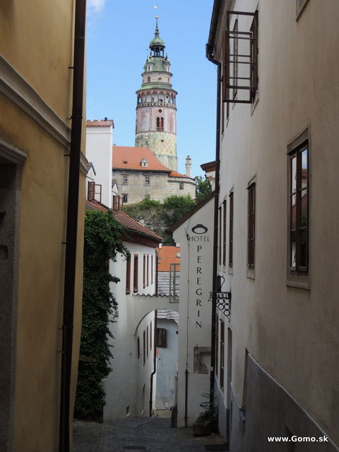 DSCN3846