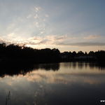 DSCN3978