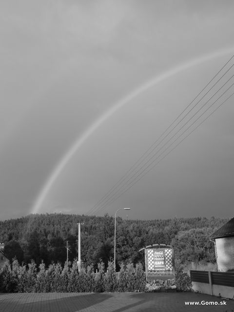 DSCN4195