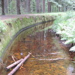 DSCN4206