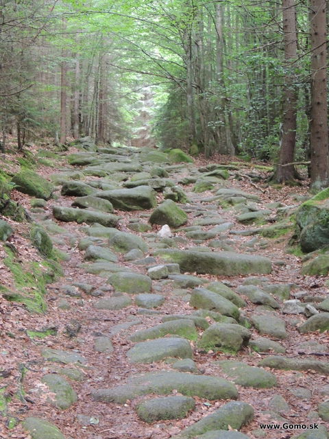 DSCN4232