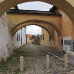DSCN5897