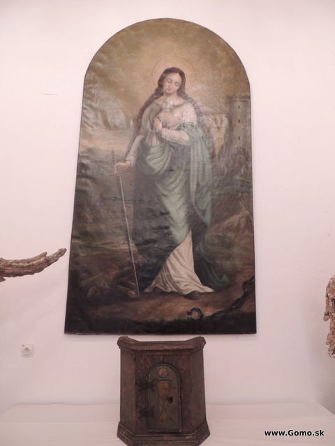 DSCN5965