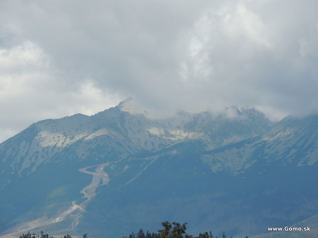 DSCN5990