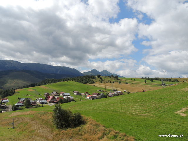 DSCN5991