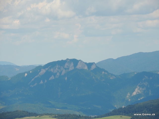 DSCN6023