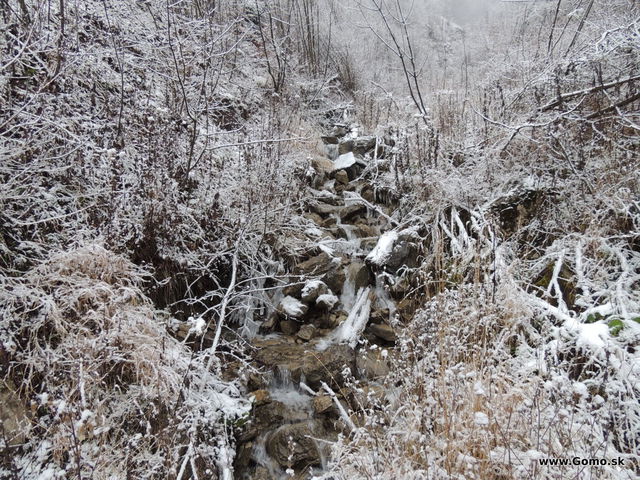 DSCN7739