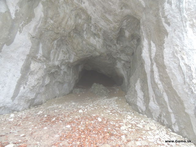 DSCN7781