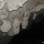 DSCN7811