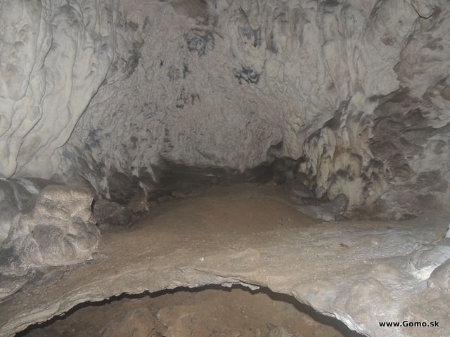 DSCN7827
