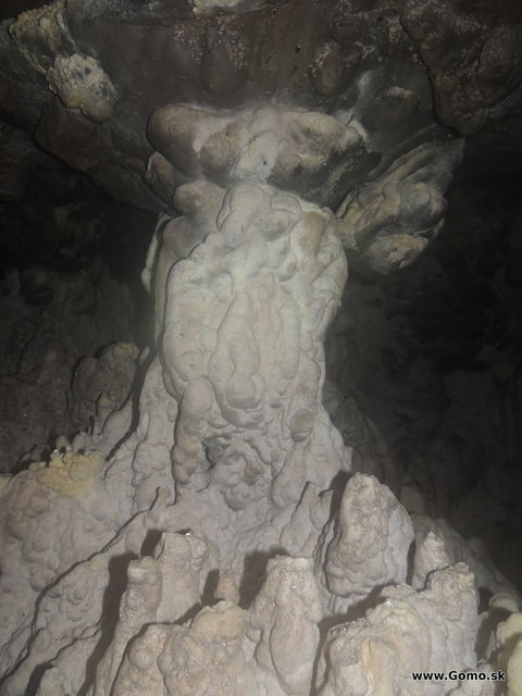 DSCN7828
