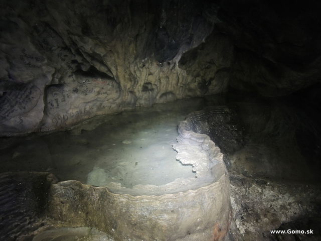 DSCN7858