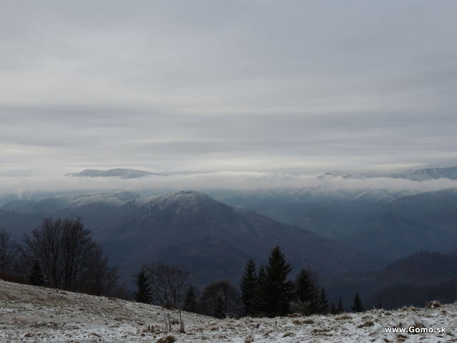 DSCN7941