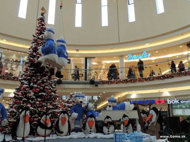 DSCN8078