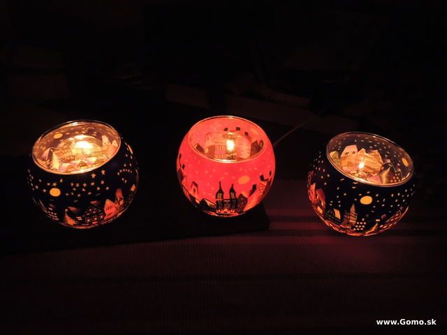 DSCN8206