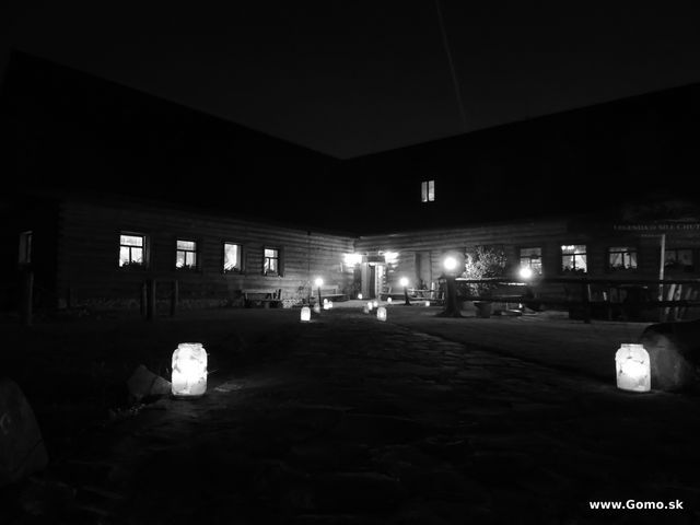 DSCN3504